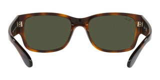 Ray-Ban RB 4388 unisex Havana Squared Sunglasses