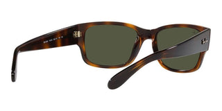 Ray-Ban RB 4388 unisex Havana Squared Sunglasses