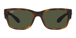 Ray-Ban RB 4388 unisex Havana Squared Sunglasses