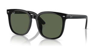 Ray-Ban RB 4401D unisex Black Geometric Sunglasses