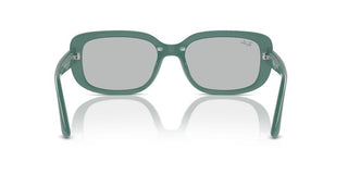 Ray-Ban RB 4421D unisex Green Other Sunglasses