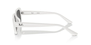 Ray-Ban RB 4421D unisex White Other Sunglasses