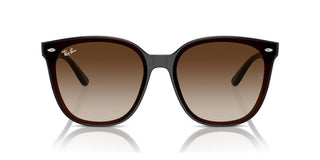 Ray-Ban RB 4423D unisex Brown Squared Sunglasses