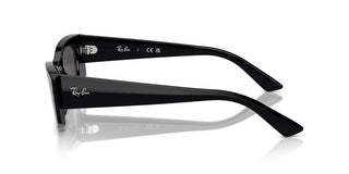 Ray-Ban RB 4427 unisex Black Other Sunglasses