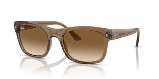 Ray-Ban RB 4428 unisex Brown Squared Sunglasses