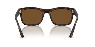 Ray-Ban RB 4428 unisex Havana Squared Sunglasses