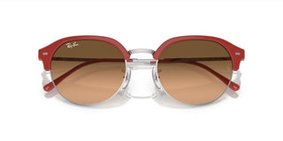 Ray-Ban RB 4429 unisex Red Geometric Sunglasses