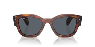 Ray-Ban RB 7681S unisex Havana Cat Eye Sunglasses