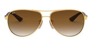 Ray-Ban RB 8313 unisex Gold Pilot Sunglasses