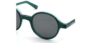 L.G.R REUNION men Green Round Sunglasses