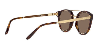 Ralph Lauren RL 8210 men Havana Pilot Sunglasses