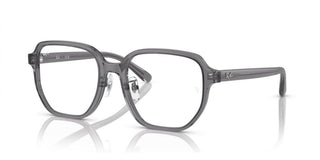 Ray-Ban RX 5424D unisex Grey Other Eyeglasses