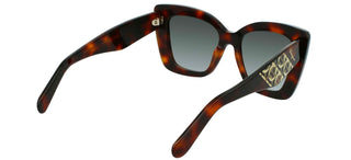 Salvatore Ferragamo SF1023S women Havana Butterfly Sunglasses