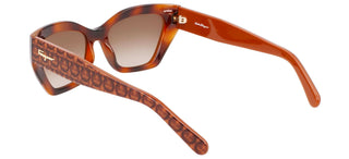 Salvatore Ferragamo SF1043S women Havana Cat Eye Sunglasses