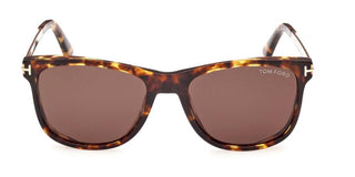 Tom Ford SINATRA FT 1104 men Havana Geometric Sunglasses