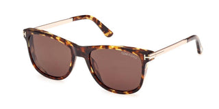 Tom Ford SINATRA FT 1104 men Havana Geometric Sunglasses