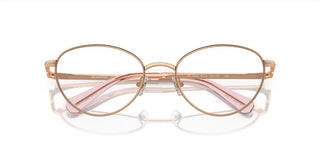 Swarovski SK1002 women Rose gold Cat Eye Eyeglasses