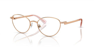 Swarovski SK1002 women Rose gold Cat Eye Eyeglasses