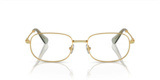 Swarovski SK1005 women Gold Geometric Eyeglasses