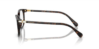 Swarovski SK2002 women Havana Squared Eyeglasses