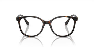 Swarovski SK2002 women Havana Squared Eyeglasses