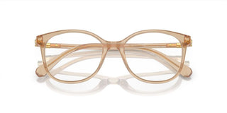 Swarovski SK2002 women Brown Squared Eyeglasses