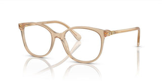 Swarovski SK2002 women Brown Squared Eyeglasses