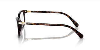 Swarovski SK2003 women Havana Squared Eyeglasses