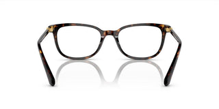 Swarovski SK2003 women Havana Squared Eyeglasses