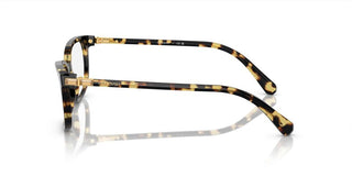 Swarovski SK2003 women Havana Squared Eyeglasses