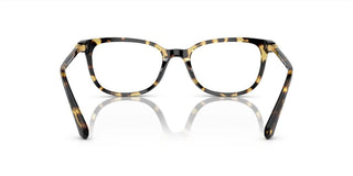 Swarovski SK2003 women Havana Squared Eyeglasses