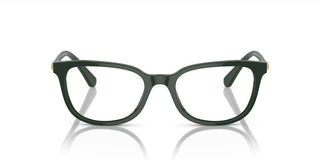 Swarovski SK2003 women Green Squared Eyeglasses