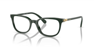 Swarovski SK2003 women Green Squared Eyeglasses