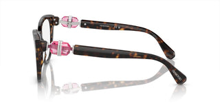 Swarovski SK2004 women Havana Squared Eyeglasses