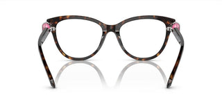 Swarovski SK2004 women Havana Squared Eyeglasses