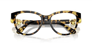 Swarovski SK2004 women Havana Squared Eyeglasses