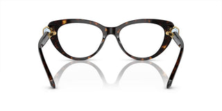 Swarovski SK2005 women Havana Cat Eye Eyeglasses