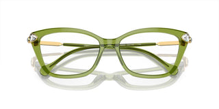 Swarovski SK2011 women Green Cat Eye Eyeglasses