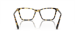 Swarovski SK2015 women Havana Squared Eyeglasses