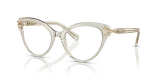 Swarovski SK2030 women Transparent Cat Eye Eyeglasses