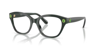 Swarovski SK2038 women Green Squared Eyeglasses