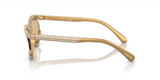 Swarovski SK6006 women Gold Squared Sunglasses