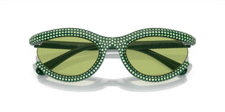 Swarovski SK6006 women Green Squared Sunglasses