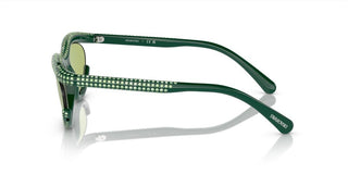 Swarovski SK6006 women Green Squared Sunglasses