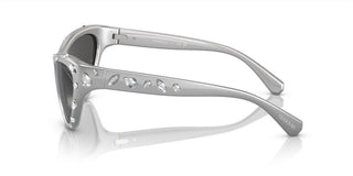 Swarovski SK6007 women Grey Cat Eye Sunglasses