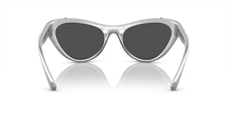 Swarovski SK6007 women Grey Cat Eye Sunglasses