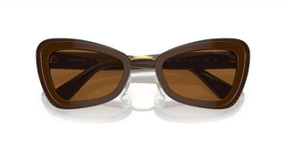 Swarovski SK6012 women Brown Cat Eye Sunglasses