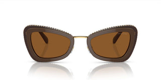 Swarovski SK6012 women Brown Cat Eye Sunglasses