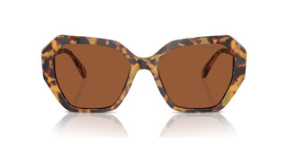 Swarovski SK6017 women Havana Geometric Sunglasses