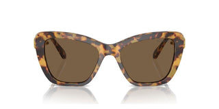 Swarovski Sk6018 Women Havana Cat Eye Sunglasses